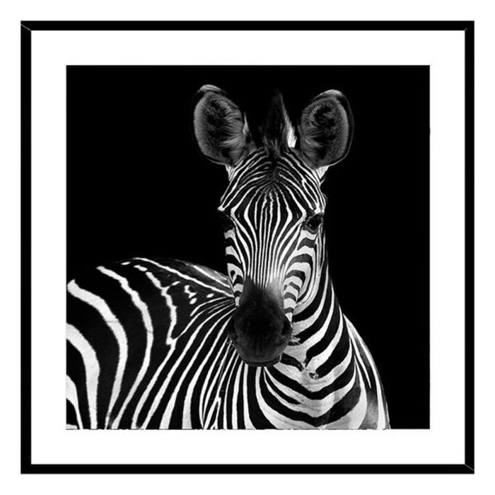 Pintura Zebra Cristal (2 x 50 x 50 cm)