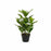 Planta Decorativa DKD Home Decor PVC (47 x 45 x 63 cm)