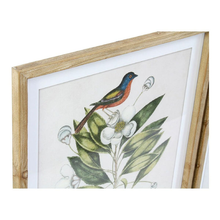 Pintura DKD Home Decor Bird Tropical Pássaros (55 x 2,5 x 70 cm) (4 Unidades)