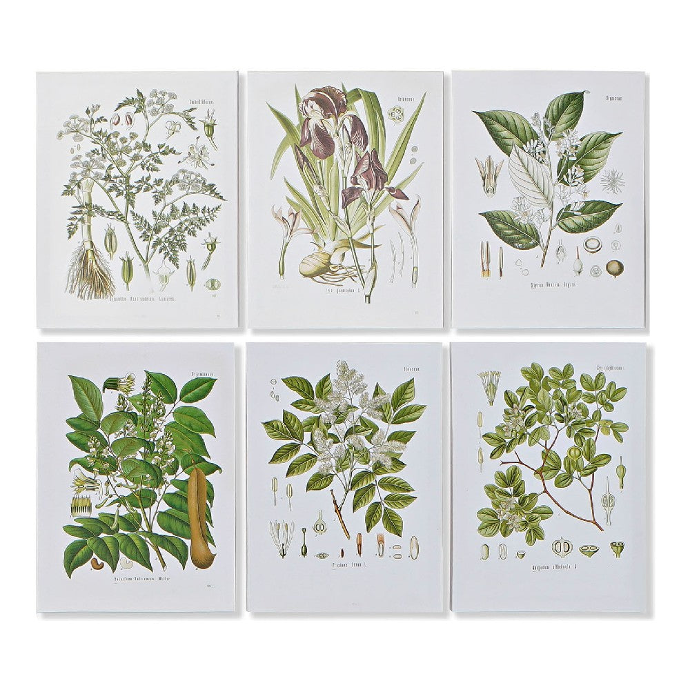 Pintura DKD Home Decor Botanic Tela (6 pcs) (30 x 1.8 x 40 cm)