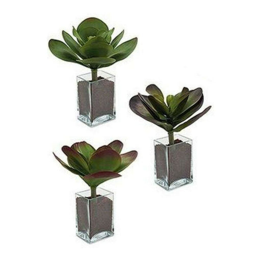 Planta Decorativa (27 x 29 x 27 cm)