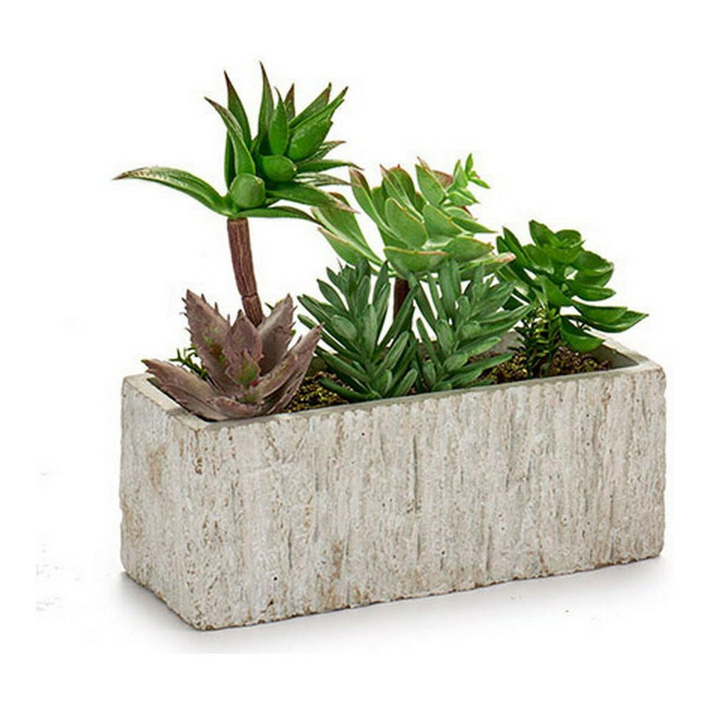 Planta Decorativa Cinzento Verde Cerâmica Plástico (9 x 20 x 21,5 cm)