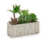 Planta Decorativa Cinzento Verde Cerâmica Plástico (9 x 20 x 21,5 cm)