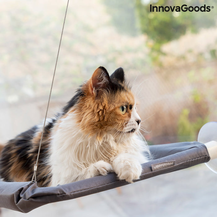 Rede Suspensa para Gatos Catlax InnovaGoods